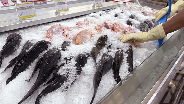 마켓에서 얼음 위에 신선한 생선들이 올라가 있다. / jbstocks-shutterstock.com