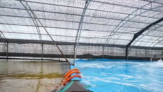 실내에 조성된 고등어 양식장 모습이다. / 메가플랜 공식 유튜브