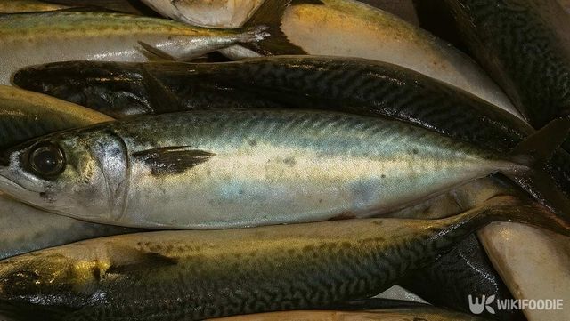 신선하게 잡은 고등어들이 빛나는 비늘을 드러내며 가지런히 놓여 있다. / 위키푸디