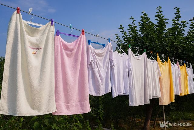 우유는 얼룩을 제거하는 데 유용하다./ 위키푸디