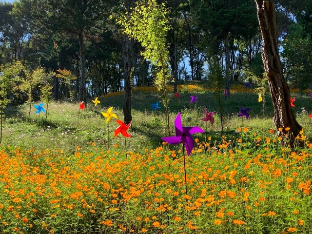 세종 베어트리파크. / 업체등록사진
