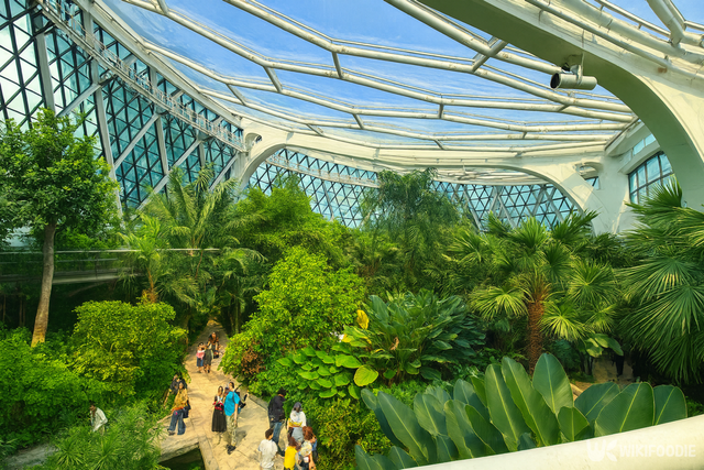 식물원 자료 사진. / 위키푸디