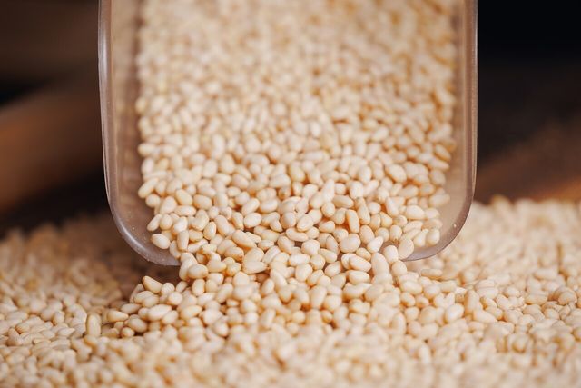 잣 자료 사진. /&nbsp;Parilov-shutterstock.com