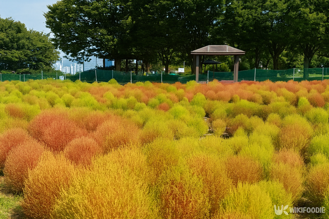 공원 자료 사진. / 위키푸디