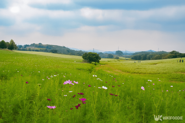 농장 자료 사진. / 위키푸디