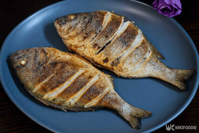 감성돔 자료 사진. / 위키푸디