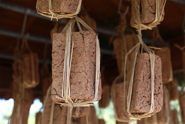 된장 재료 메주가 볏짚 등으로 엮어 자연 발효되고 있다. / ryan7-shutterstock.com