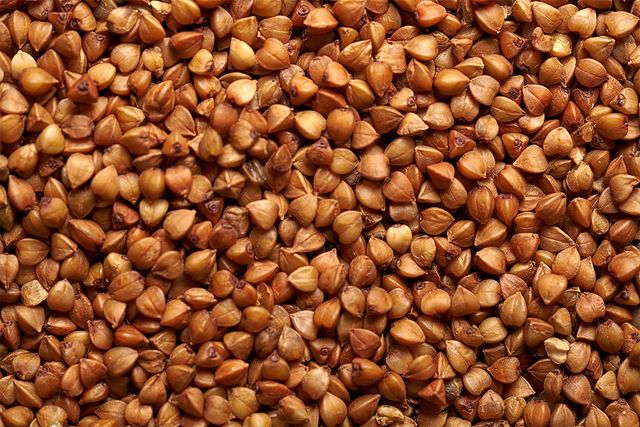 메밀이 한가득 놓여 있다. 기사 이해를 돕기 위한 자료 사진입니다. / nadia_if-shutterstock.com