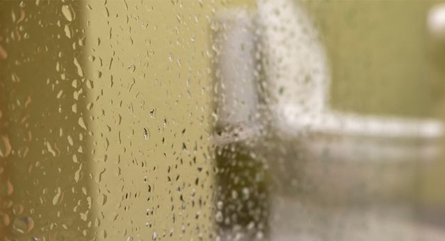 욕실에 수증기가 오래 머물면 곰팡이가 쉽게 번식한다. / Alpen Works-shutterstock.com