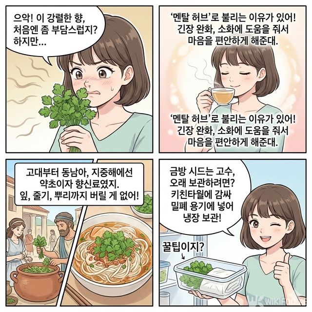 4컷 만화. / 위키푸디