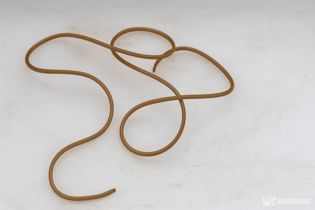 연가시 자료 사진. / 위키푸디