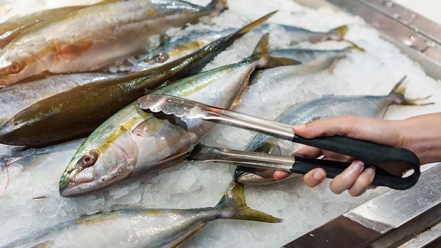 고등어 자료 사진. / Chanintorn.v-shutterstock.com