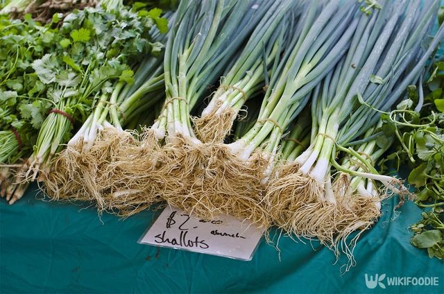 대파가 한데 놓여 있다. / Istimages