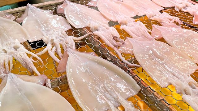 오징어 자료 사진. / creamfeeder foundation-shutterstock.com