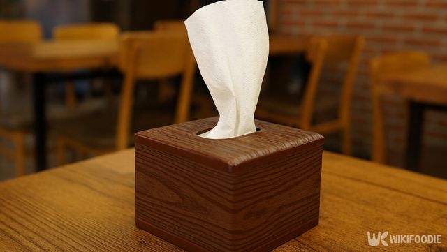 냅킨 통에서 한 장의 냅킨이 위로 올라와 있는 모습이다. / 위키푸디