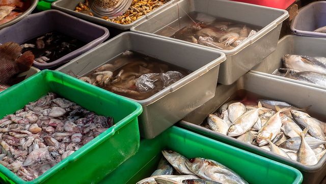 오징어 자료 사진. / sdhimas-shutterstock.com