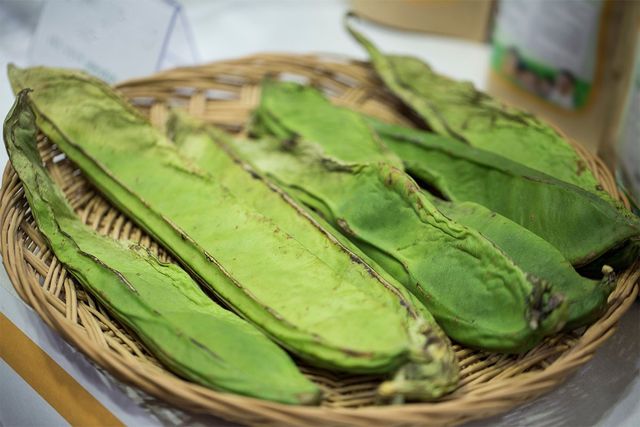 작두콩이 바구니에 담겨 있다. / mujijoa79-shutterstock.com