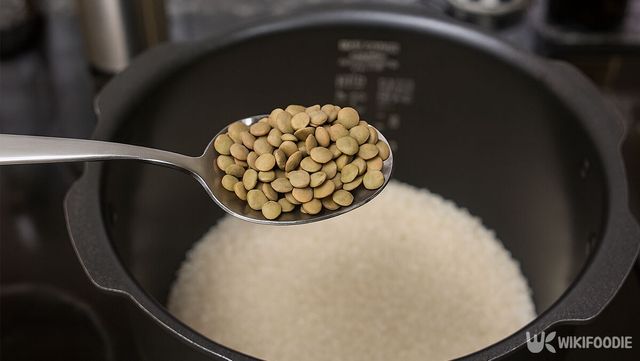 백미 위에 렌틸콩을 한 숟가락 뜨고 있다. / 위키푸디