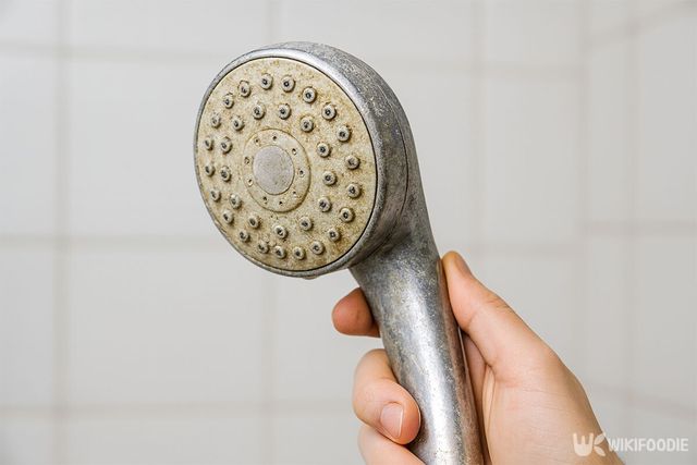 석회질로 샤워헤드가 더럽혀진 모습이다. / 위키푸디
