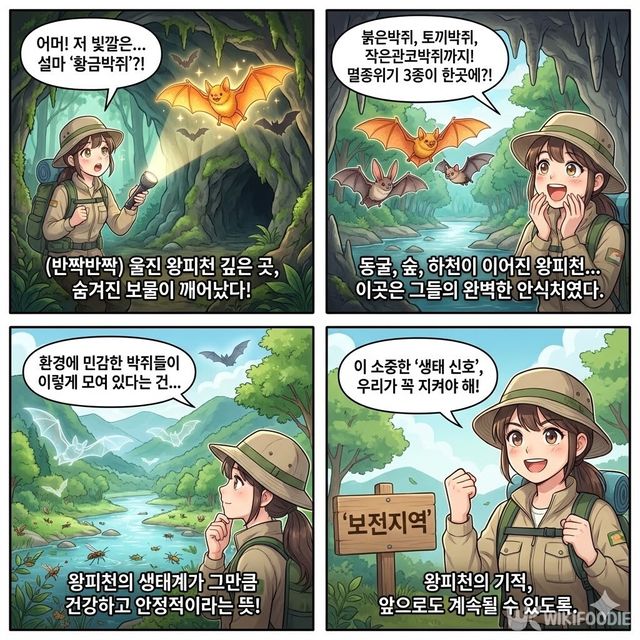 4컷 만화. / 위키푸디