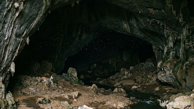 동굴 자료 사진.&nbsp;기사의 이해를 돕기 위해 AI로 제작한 사진입니다. / 위키푸디