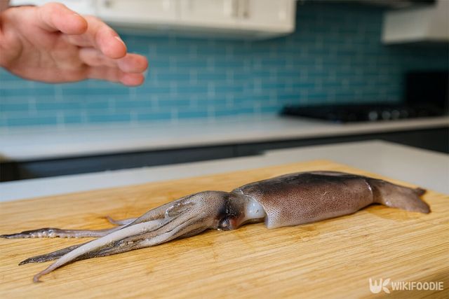 도마 위에 오징어 한 마리를 올려놓고 있다. / 위키푸디