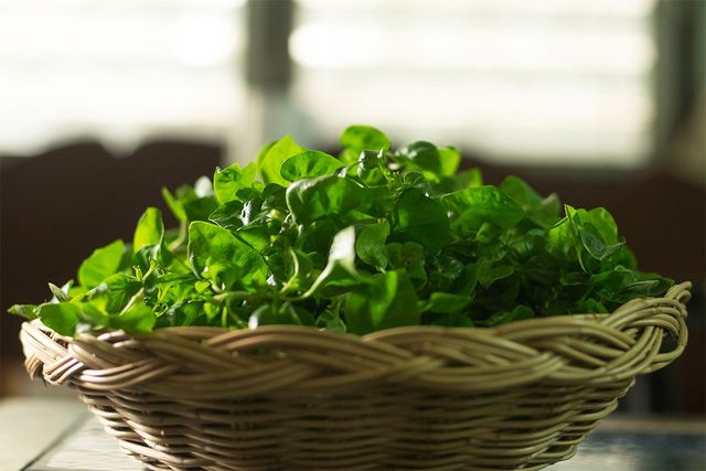 바구니에 물냉이가 가득 담겨 있다. / 149 Studio-shutterstock.com