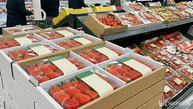 골드베리 자료 사진. / 위키푸디