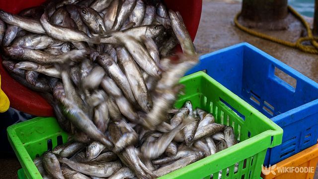 도루묵 자료 사진. / 위키푸디