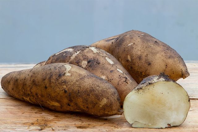 흙 묻은 야콘이 놓여 있다. / Danny Hummel-shutterstock.com