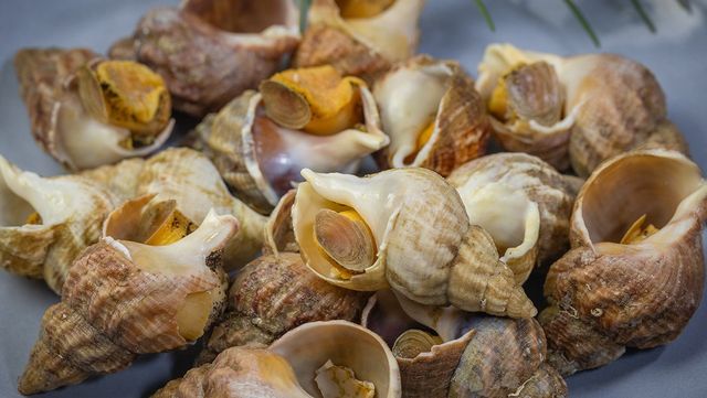 골뱅이 자료 사진. / page frederique-shutterstock.com