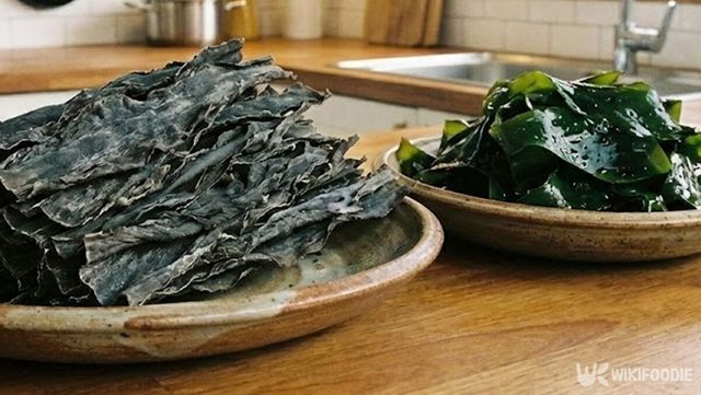 미역 자료 사진. / 위키푸디