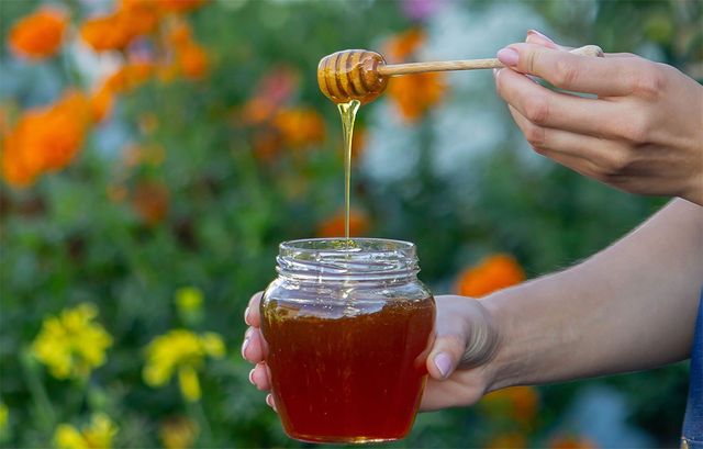 정원에서 꿀 항아리를 들고 있다. / Anuta23-shutterstock.com