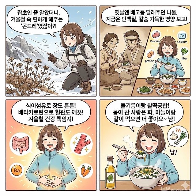 4컷 만화. / 위키푸디