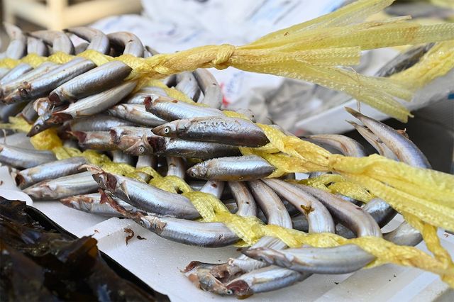 노란 끈으로 묶어 진열된 양미리 더미의 모습이다. / Light Win-shutterstock.com