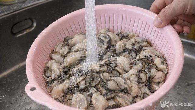 미지근한 물에 굴을 헹구고 있다. / 위키푸디