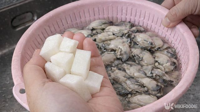 굴을 씻기 위해 무를 한 움큼 쥐고 있다. / 위키푸디