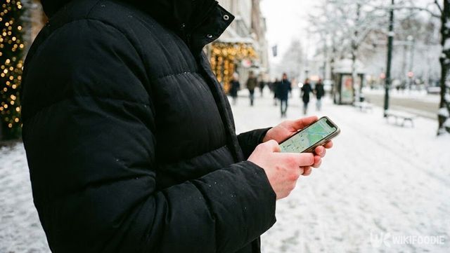 패딩 입은 사람이 장갑 없이 맨손으로 스마트폰을 보고 있다. / 위키푸디