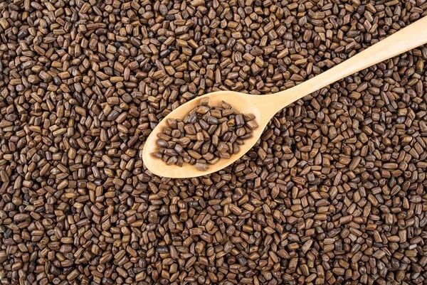 결명차가 한데 모여 있다. / sisi2017-shutterstock.com