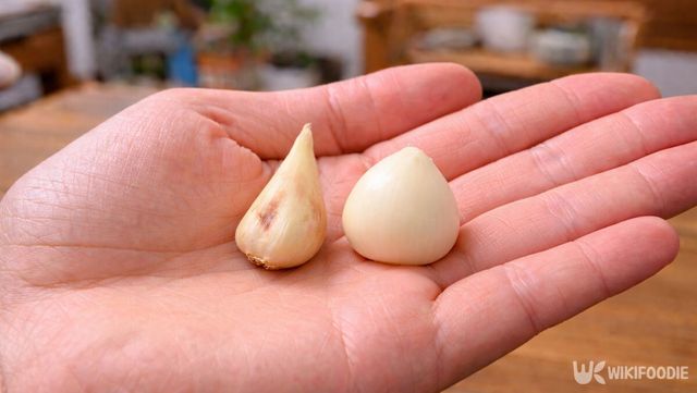 국산 마늘과 중국산 마늘을 한 손에 올려놓고 있다. / 위키푸디