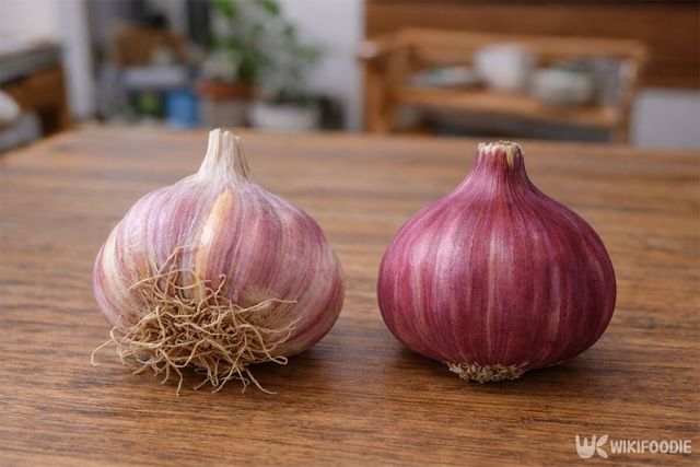 가늘고 긴 뿌리의 국산 마늘과 짧은 뿌리의 중국산 마늘의 모습이다. / 위키푸디