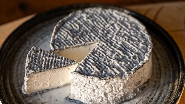 표면이 뇌 껍질을 연상시키는 프랑스 염소치즈인 'selles-sur-cher'의 모습이다. / barmalini-shutterstock.com