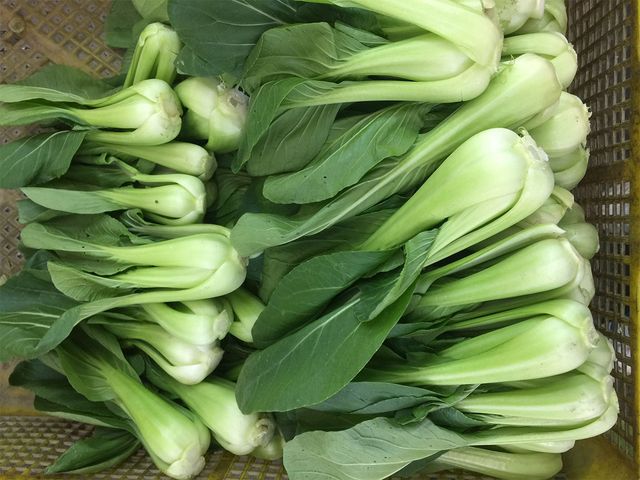 청경채가 한가득 놓여 있다. / Star Dust