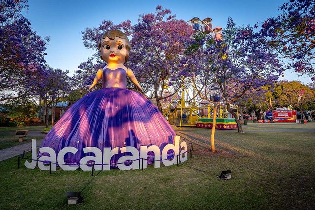 그라프턴에서 1년에 한번 개최하는 자카란다 페스티벌 전경이다. / Alex Cimbal-shutterstock.com