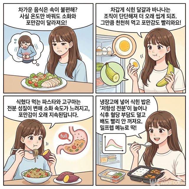 4컷 만화. / 위키푸디