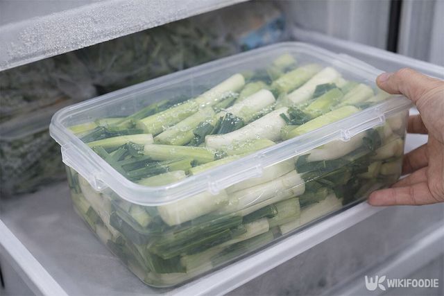 대파를 용기에 담아 냉동실에 넣고 있다. / 위키푸디