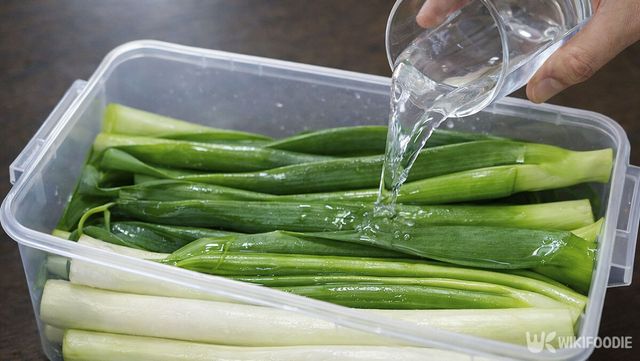 대파에 물을 붓고 있다. / 위키푸디