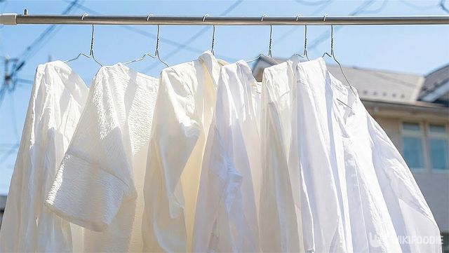 흰옷을 야외에서 건조하고 있다. / 위키푸디