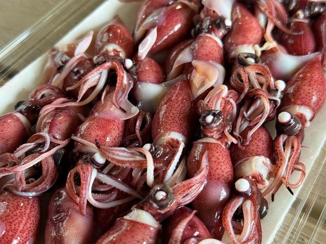 삶은 호래기가 한데 모여 있다. / KKKvintage-shutterstock.com