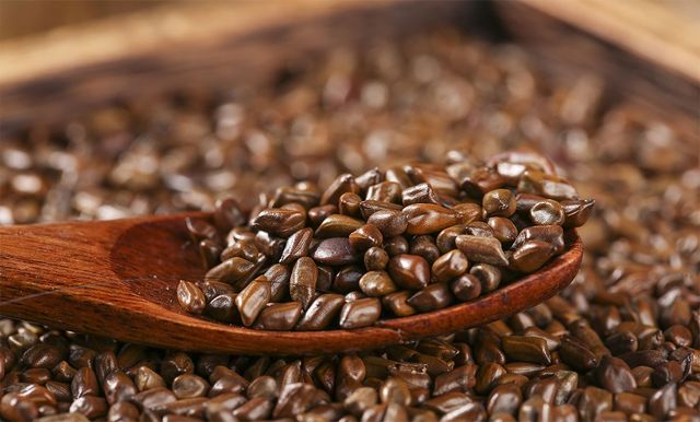 결명자 씨앗이 숟가락에 담겨 있다. / EchoLan88-shutterstock.com